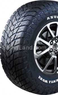 Roadcruza Snow Lynx