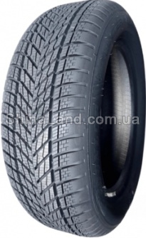 Dunlop Winter