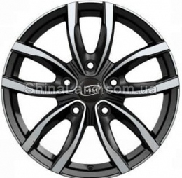 MIM Evo001