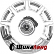 WS ForgedWS2405155