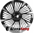 WS ForgedWS-LR22C